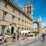 Apartamento Pillement 3-t2 Avec Garage Privé Optionnel-centre Historique Et Plages à 21km ! *