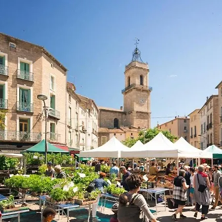 Pillement 3-t2 Avec Garage Privé Optionnel-centre Historique Et Plages à 21km ! Apartamento